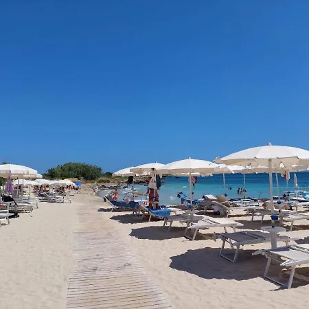Masseria Baroni Di Montesardo Lido Marini